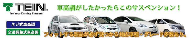 車高調サスペンション：TEIN